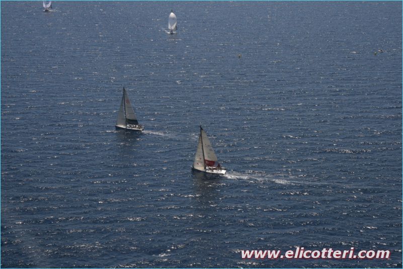 elifoto (239)